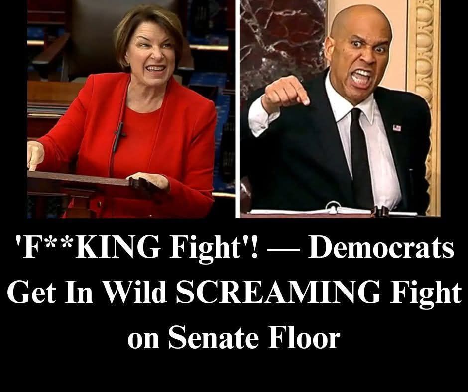 Cory Booker Fights With Fellow Senate Dems Over Trump: Report