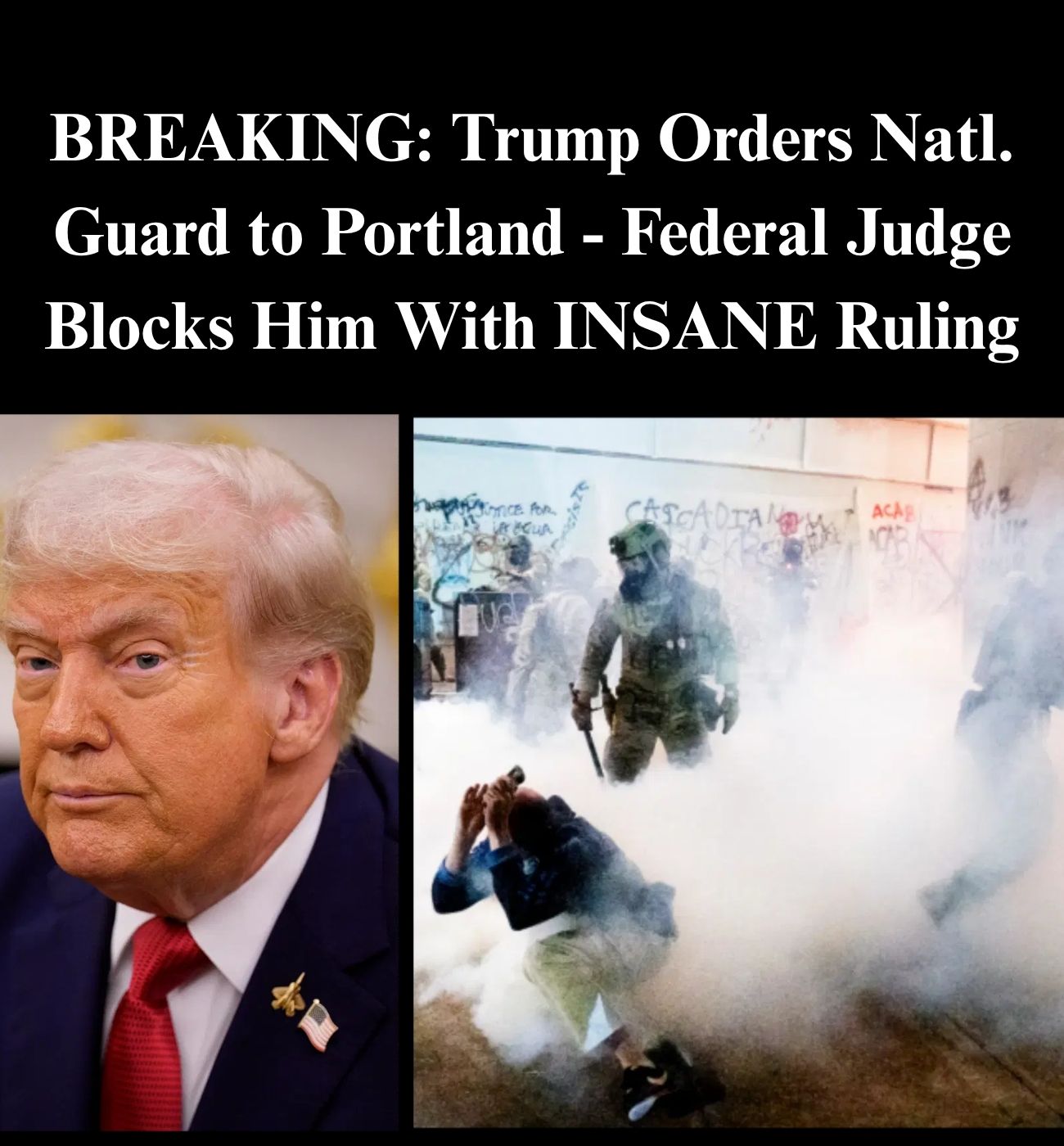 Federal Judge Temporarily Blocks Trump From Deploying Natl. Guard to Portland