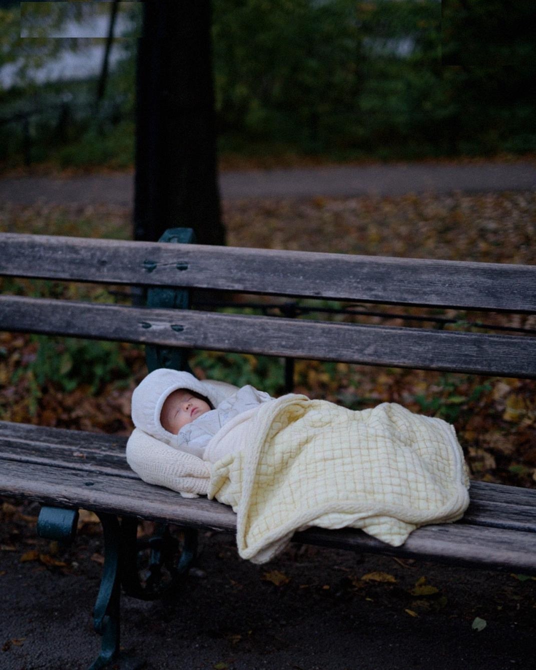 Found a Baby Crying Alone on a Park Bench — Learning His Identity Turned My World Around