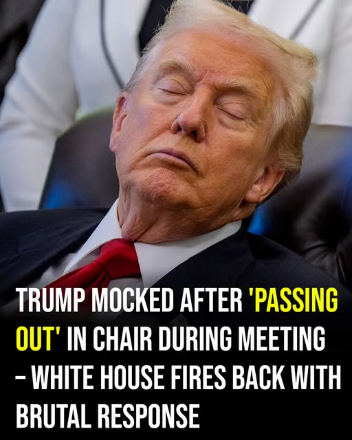 Trump Ridiculed as ‘Dozy Don’ Following Photo – White House Fires Back Sharply