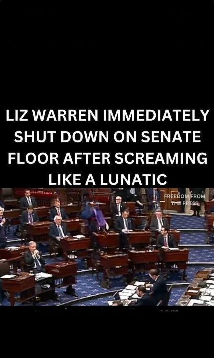 Elizabeth Warren Makes a Major Announcement Ahead of 2024 A Deep, Comprehensive, and Extensive Analysis of Her Re-Election Bid, Party Dynamics, and the Broader Political Landscape