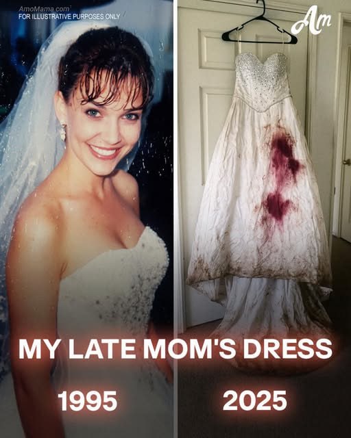 Future SIL Borrowed My Late Momโs Wedding Dress โ What She Did to It Crushed Me to the Core