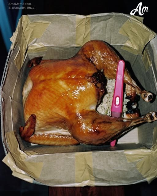 On Thanksgiving, I Got a Parcel from My Husband’s Mistress Containing a Turkey and a Pregnancy Test – They Didn’t See This Coming