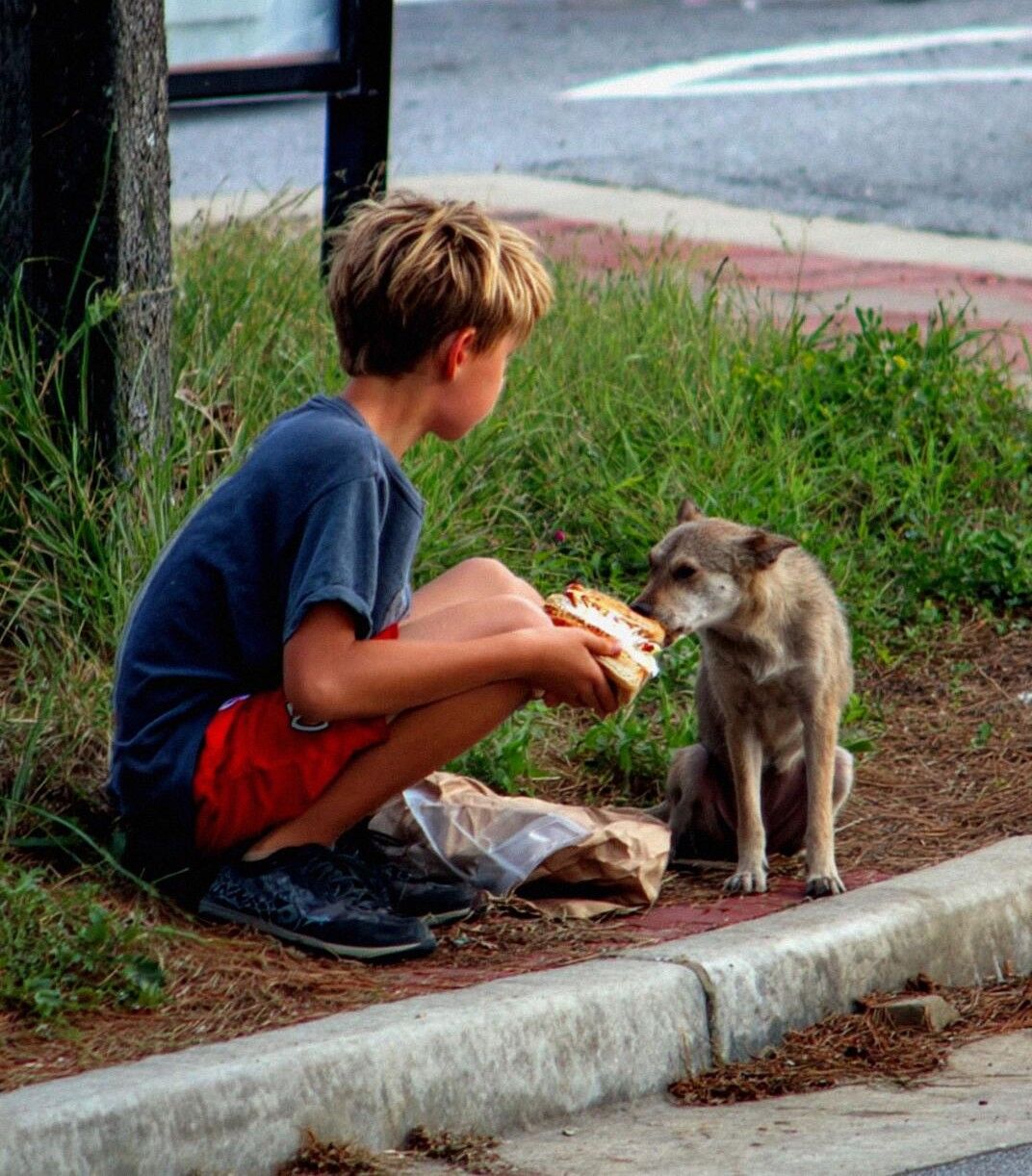 My Son Shared Half His Lunch with a Stray Dog Every Day – Until a Red SUV Stopped Beside Him