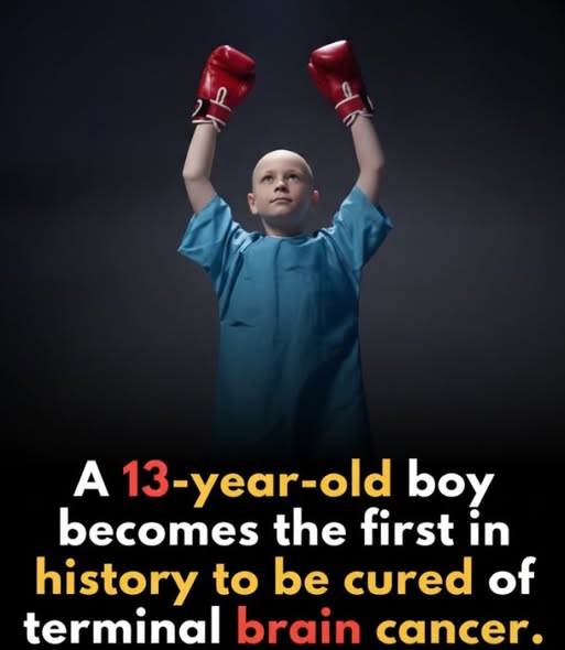 A 13-year-old boy has made medical history after becoming the first known patient cured of a terminal brain cancer.