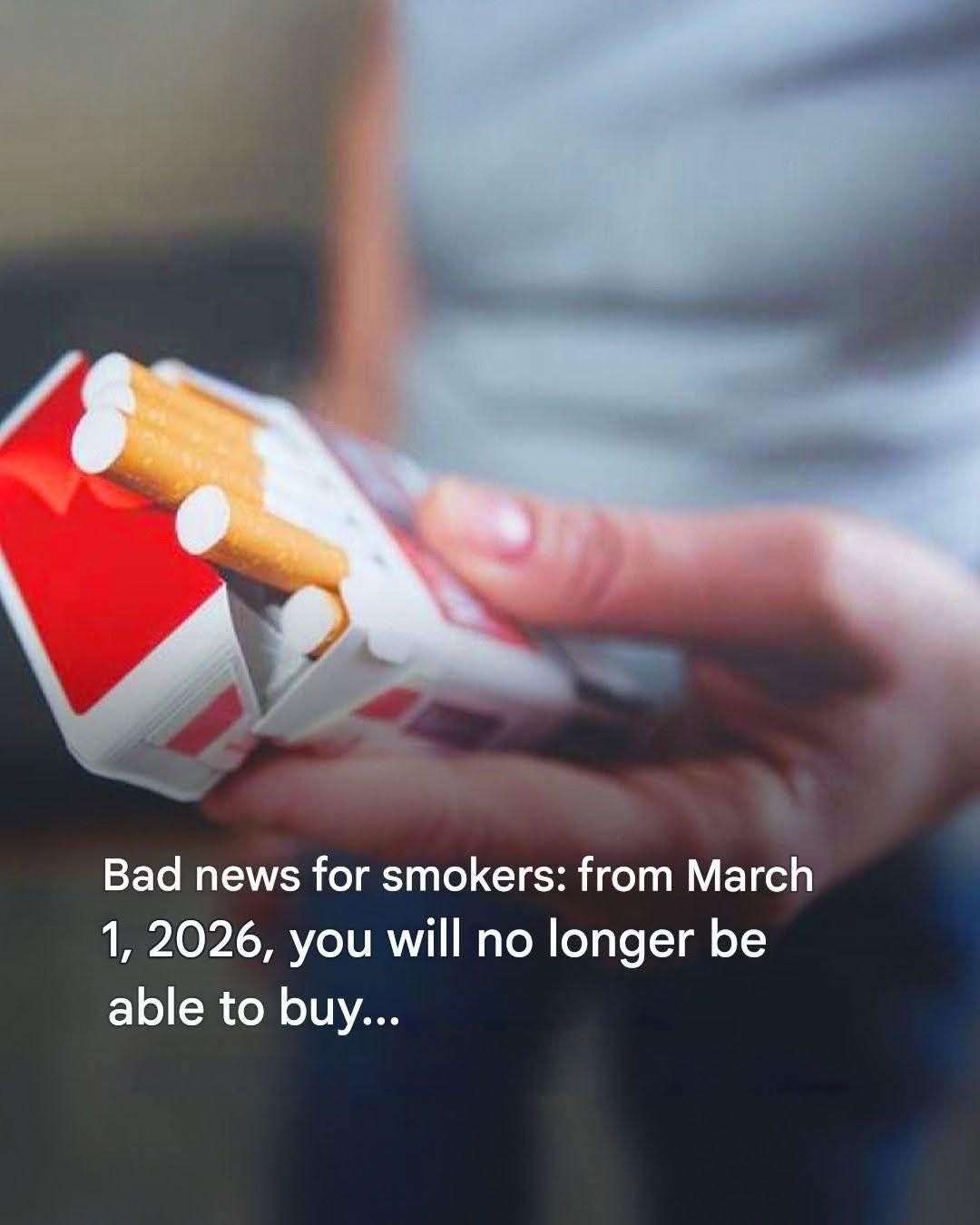 Cigarette Prices Explained: Taxes, Margins, and Price Changes