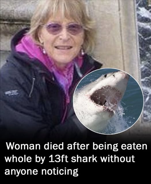 Woman eaten whole by 13ft shark during ocean swim without anyone noticing