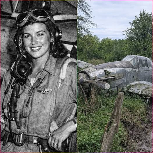 Fighter Pilot Vanished in 1944, 70 Years Later, Her Plane Was Found in a Forest!