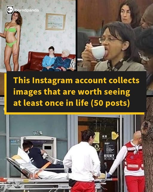 This Instagram Account Collects Images That Are Worth Seeing At Least Once In Life (50 Posts)