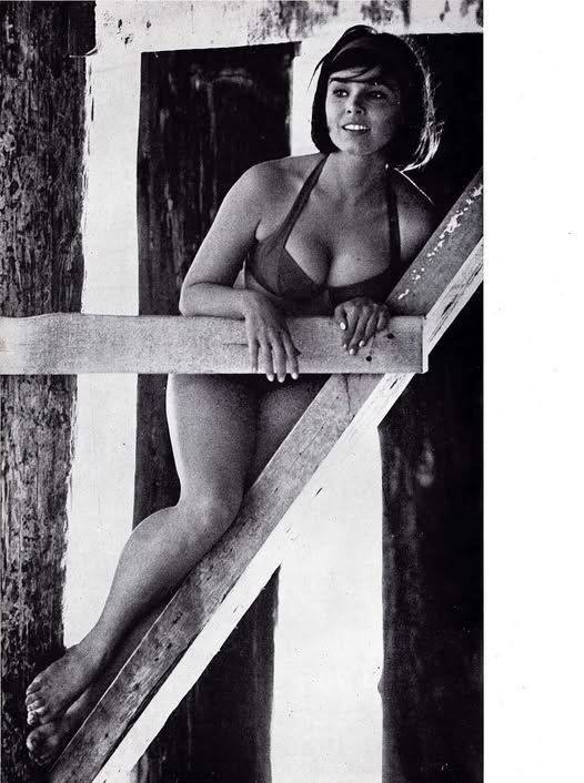 The Unforgettable Beauty Who Became TV’s First Superheroine Icon