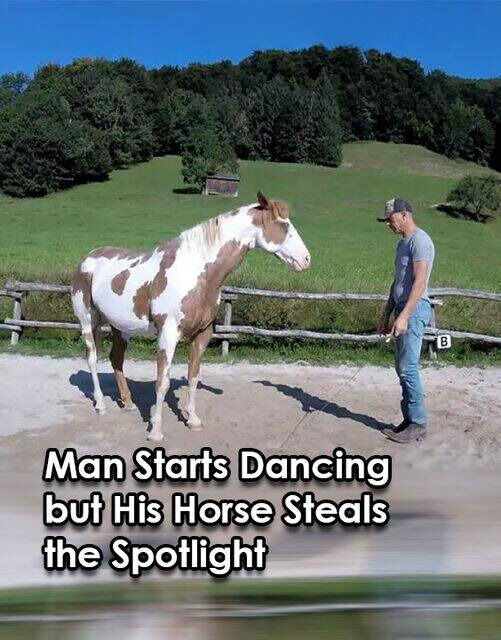 โThe Surprising Dance Moment: The Horse Steals the Spotlightโ
