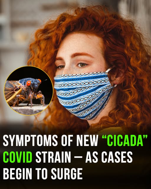 New Covid strain ‘Cicada’ identified and it’s raising vaccine concerns