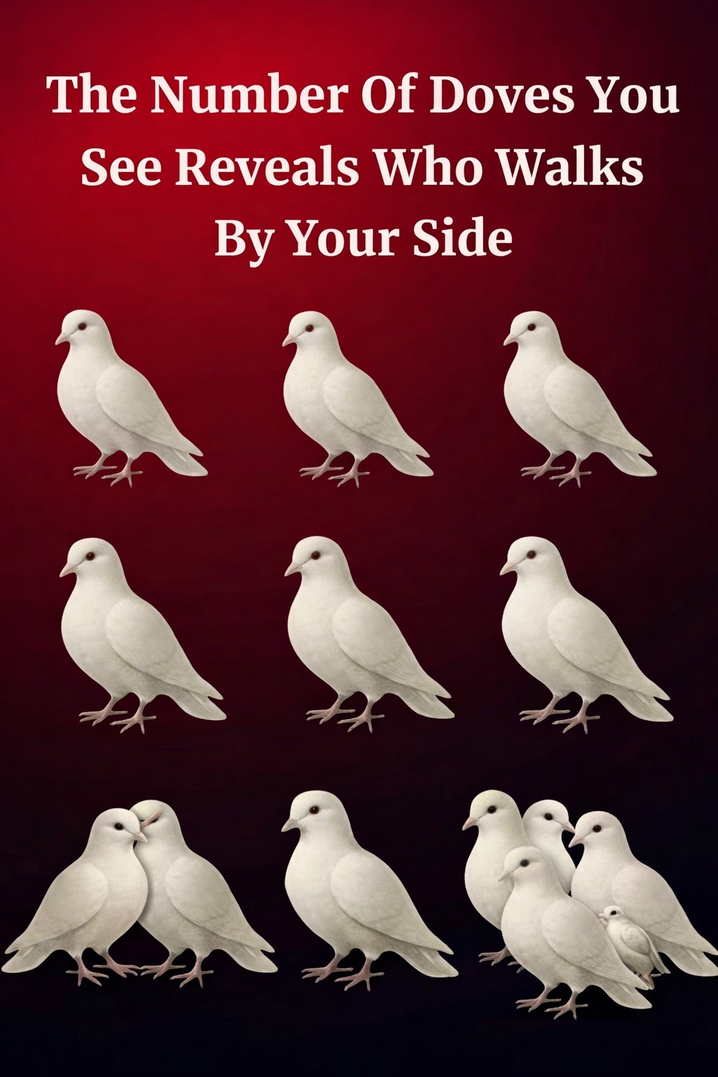 What It Really Means When You Start Noticing Doves Around You