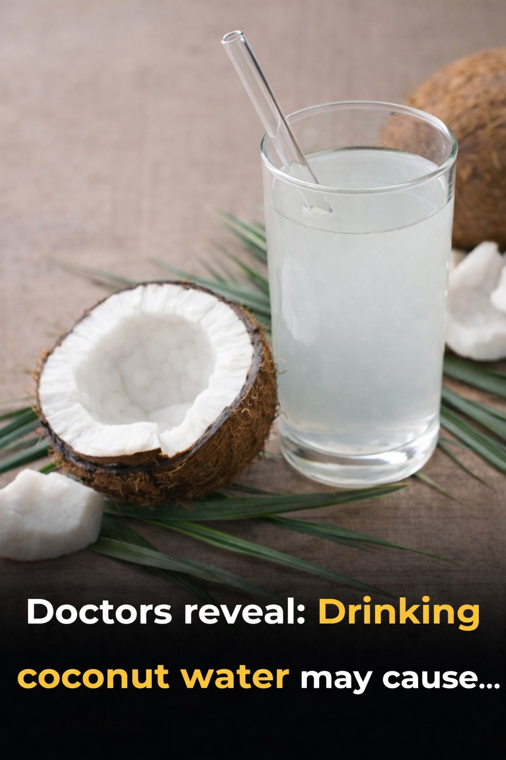 Doctors Reveal: What Drinking Coconut Water May Do to Your Body Zen Masters Or Daredevils? Capybaras Befriend Predators! Zestradar Step Into 1885 But Don’t Be Scared Of The Human Attractions Zestradar