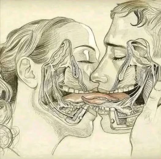 F. The Power of the Tongue and What Happens When We Kiss with Our Tongues
