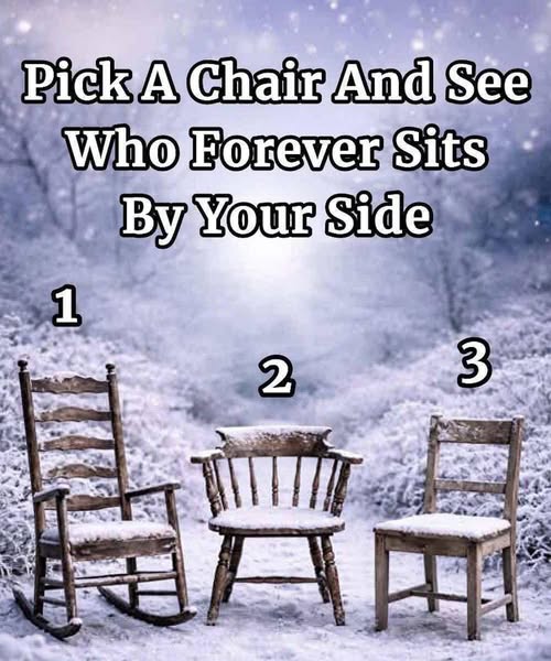 Choose a Chair and Discover What It Reveals About Connection and Loyalty