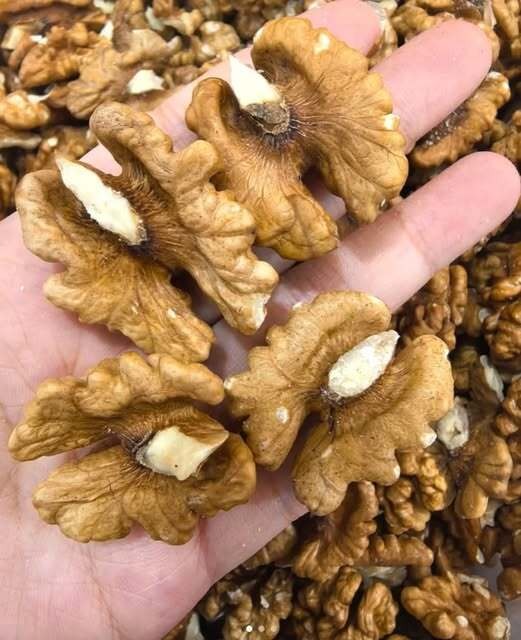 Doctors Explain the Effects of Eating Walnuts Regularly  Posted onApril 29, 2026 Byadmin