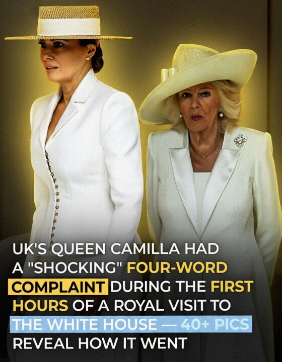 A Night of Diplomacy and Subtle Moments: Inside the State Visit That Drew Attention