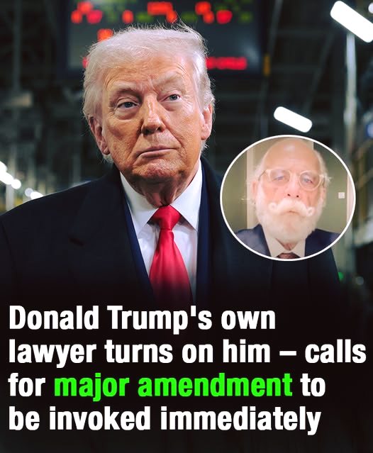 Donald Trump’s Ex-Lawyer Raises Questions With New Health Claims