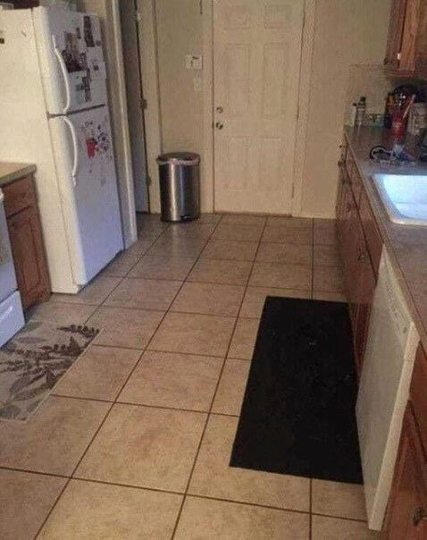 How to find the hidden dog in this seemingly normal kitchen image.