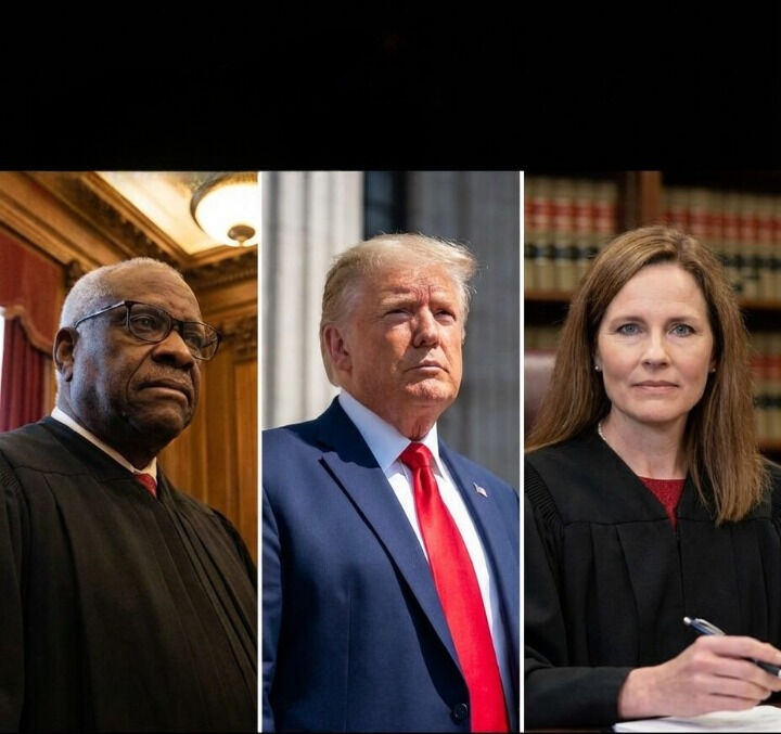 How a Supreme Court Decision May Influence Future Immigration Appeals