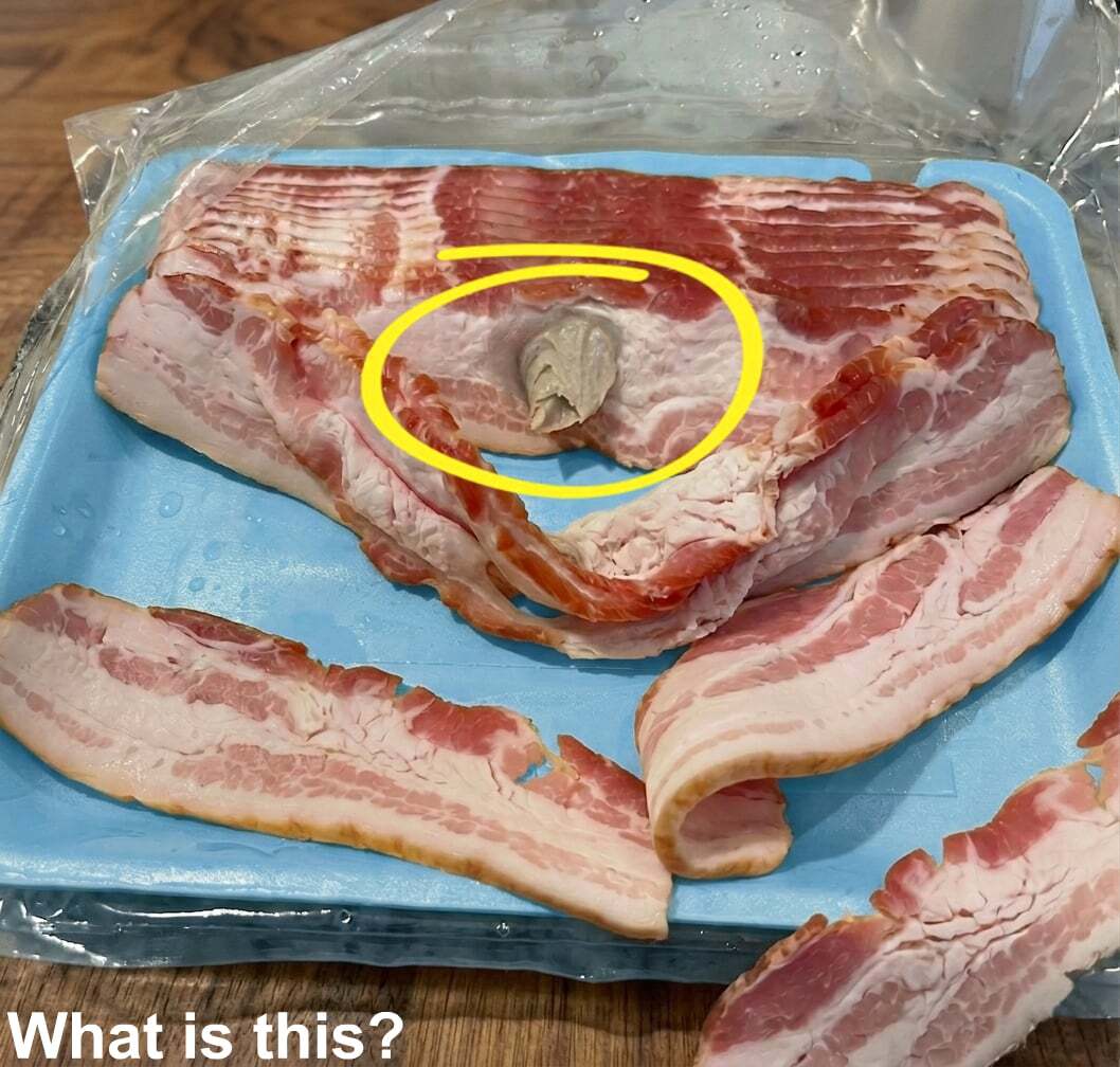I Bought Regular Bacon From The Store But What I Found Inside Left Me Terrified To Ever Eat Meat Again