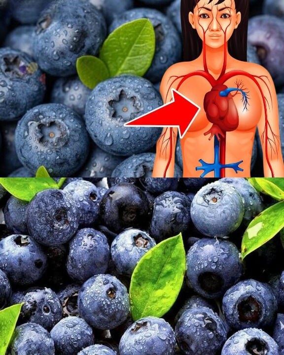 “What Eating Blueberries Every Day Does to Your Health”