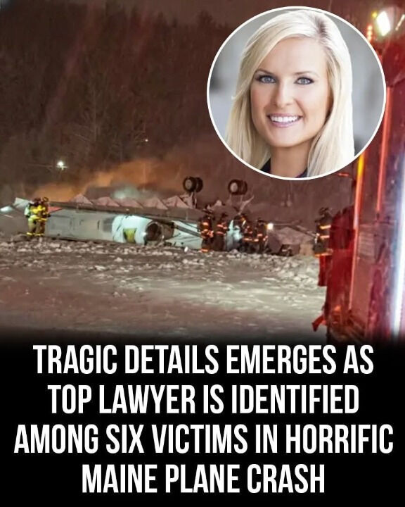 Tragic news as a leading lawyer is confirmed among six killed in devastating plane crash.