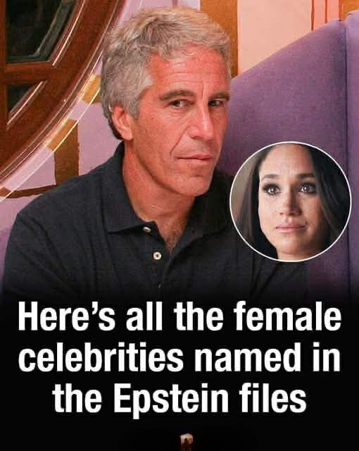 Freshly Released Documents in the Jeffrey Epstein Case Rekindle Worldwide Discussion…
