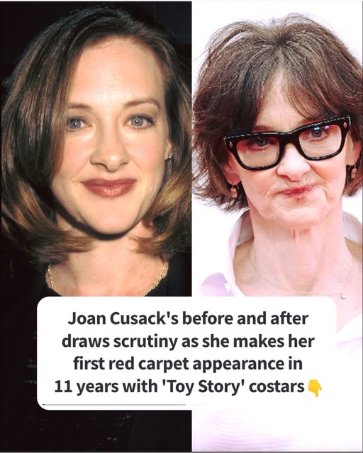Joan Cusack Surprises Fans With First Red Carpet Appearance in 11 Years Alongside โToy Storyโ Cast