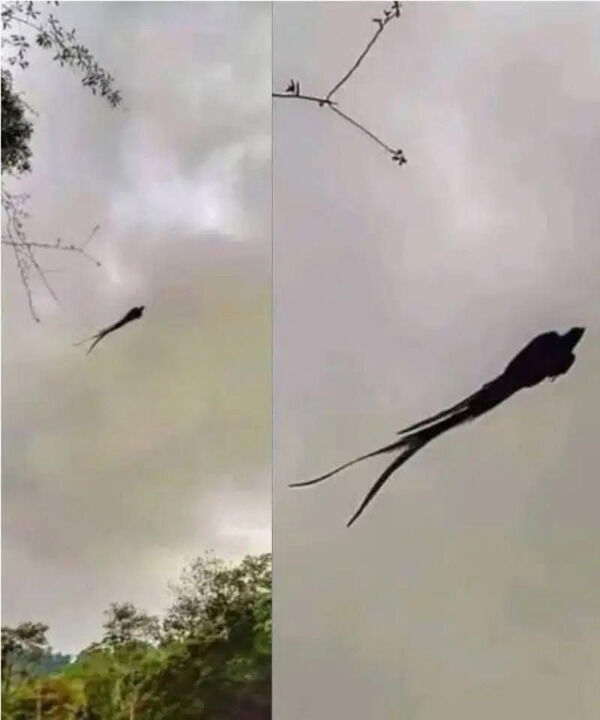Breathtaking Moment in Mexico Caught on Camera!