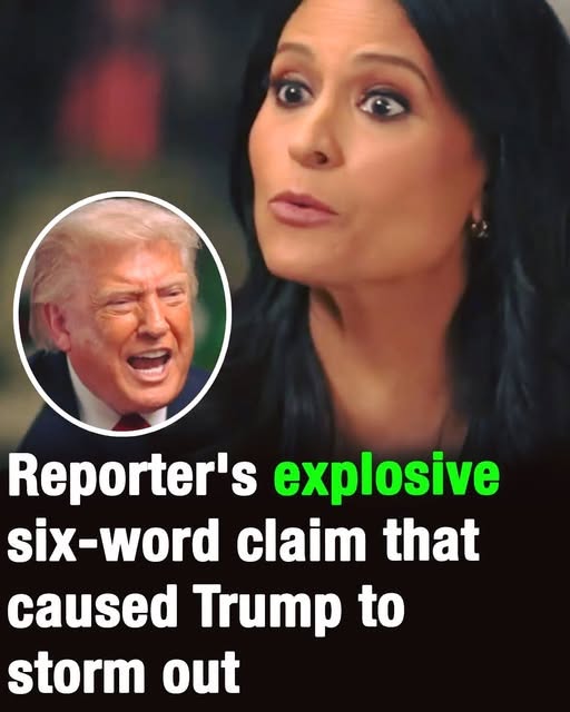 Reporterโs Six-Word Comment Reportedly Sparks Heated Reaction During Trump Event