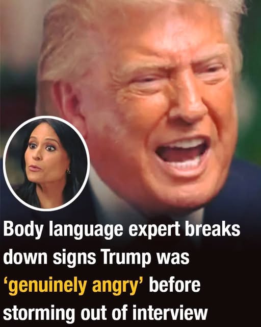 Body Language Expert Analyzes Donald Trumpโs Reaction During Heated Interview Moment
