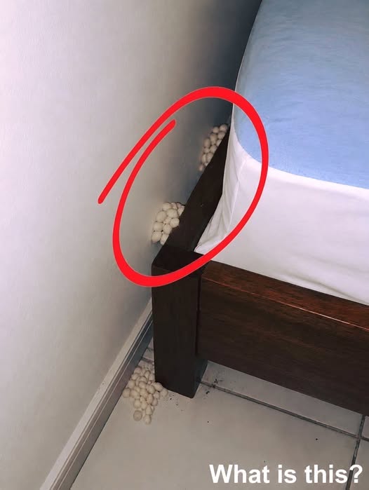 After Returning Home From Work, I Found Something Unexpected on My Bedroom Floor