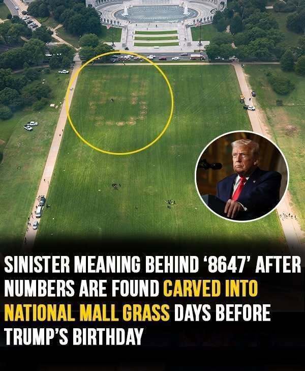 Sinister meaning behind โ8647โ message after numbers are found carved into National Mall grass