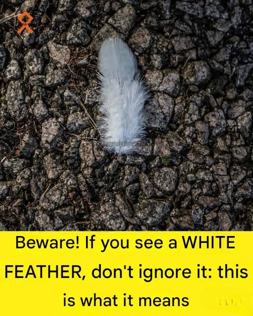 The Symbolism People See in a White Feather