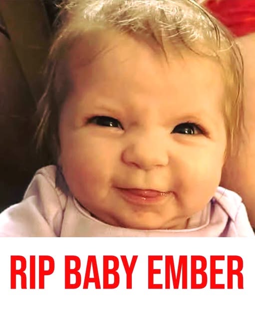 Tragic Incident Involving Infant and Family Dog Raises Safety Concerns