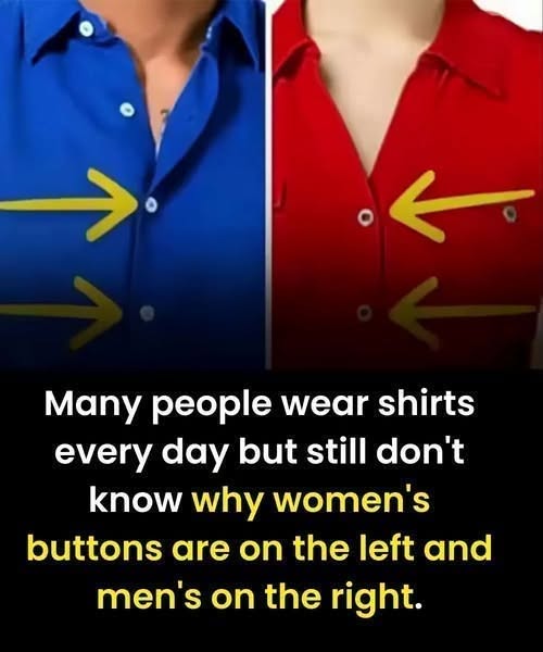 The Real Reason Womenโs Shirts Button Differently from Menโs