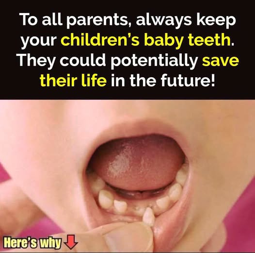 Your Childโs Baby Teeth Could Hold Valuable Medical Potential for the Future