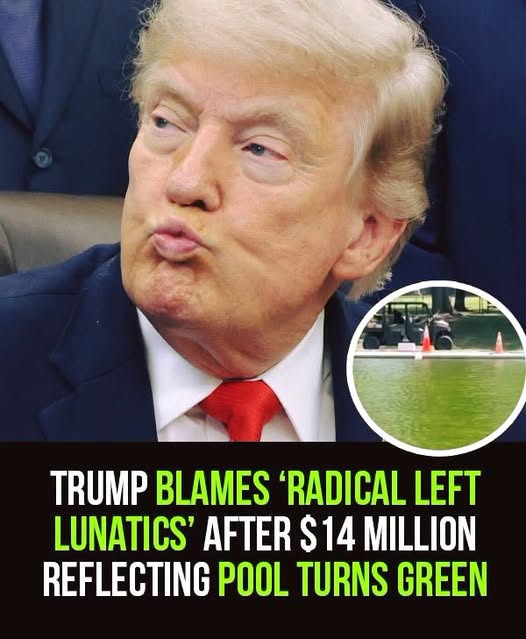 Trump reacts after a $14 million reflecting pool reportedly turned green, blaming “radical left” critics