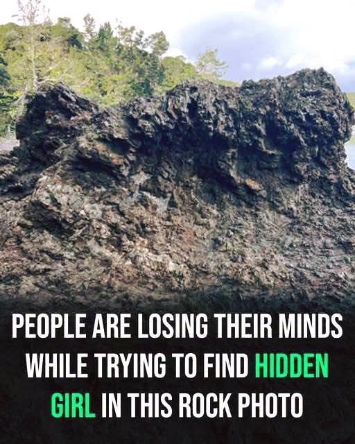 The Optical Illusion That’s Going Viral Online — Can You See What’s Hidden?