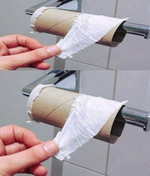 Why More People Are Questioning Toilet Paper and Switching to Greener Bathroom Alternatives