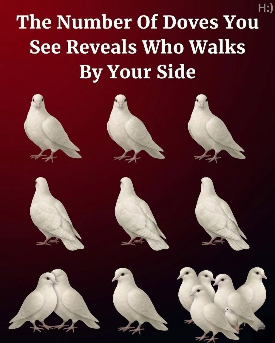 The Number of Doves You See Reveals Who Walks By Your Side—A Mysterious Visual Test That Claims to Uncover Hidden…