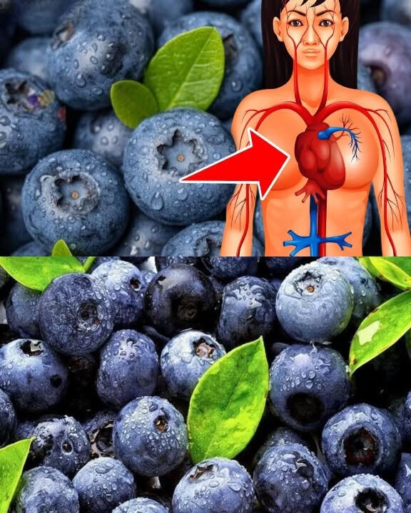 “What Eating Blueberries Every Day Does to Your Health”