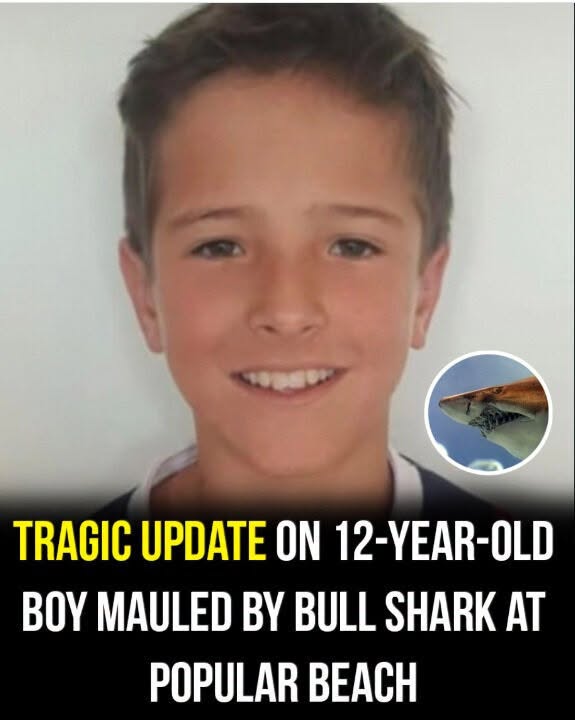 โ12-Year-Old Boy Critically Injured in Shark Attack at Popular Beachโ