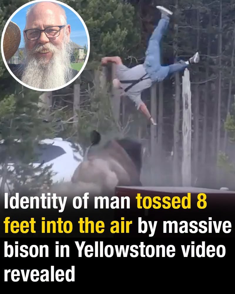 Identity of man tossed 8 feet into the air by massive bison in Yellowstone video revealed