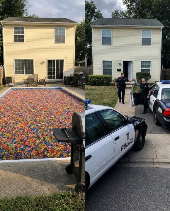 I Woke Up to Find Millions of Orbeez Filling Our PoolโThen Police Pulled Something From the Bottom That Had Been Missing for 3 Years